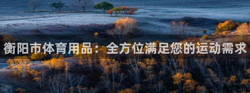 欧陆娱乐信誉吗：衡阳市体育用品：全方位满足您的运动需