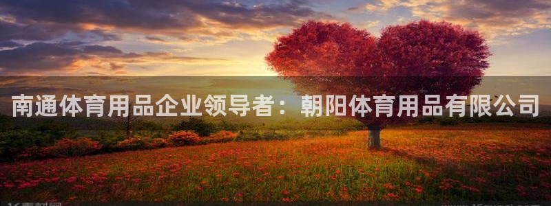 欧陆娱乐客服电话人工服务电话：南通体育用品企业领导者