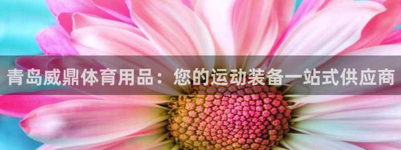 欧陆娱乐登录官网网址：青岛威鼎体育用品：您的运动装备