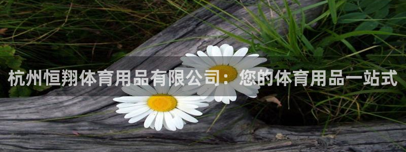 欧陆娱乐打什么方案赚钱：杭州恒翔体育用品有限公司：您