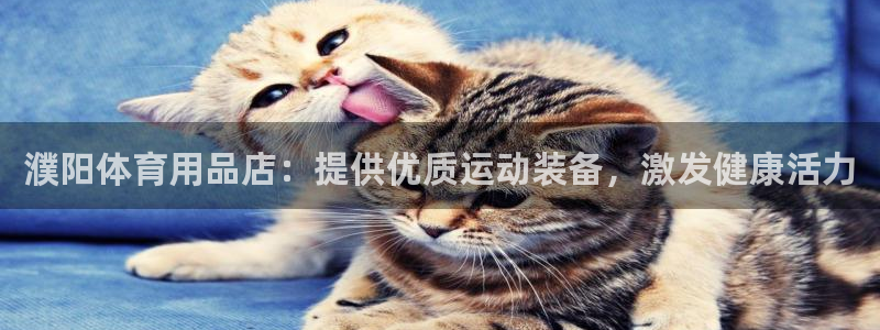 欧陆娱乐app攻略大全：濮阳体育用品店：提供优质运动