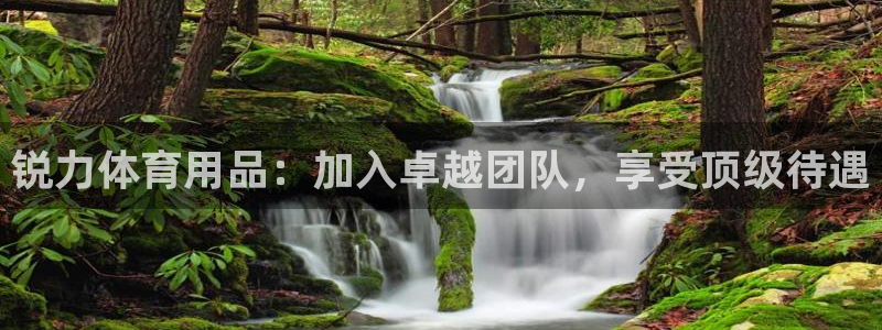 欧陆娱乐app打不开怎么回事：锐力体育用品：加入卓越