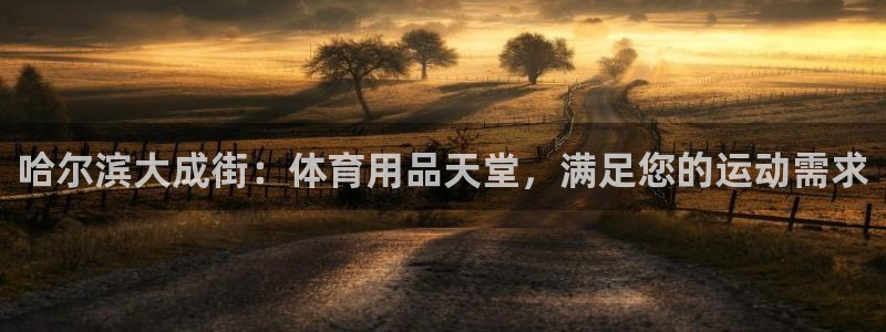 欧陆娱乐计划预测软件：哈尔滨大成街：体育用品天堂，满
