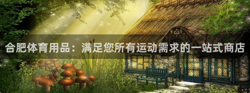 欧陆娱乐是正规平台吗安全吗可靠吗可信吗：合肥体育用品