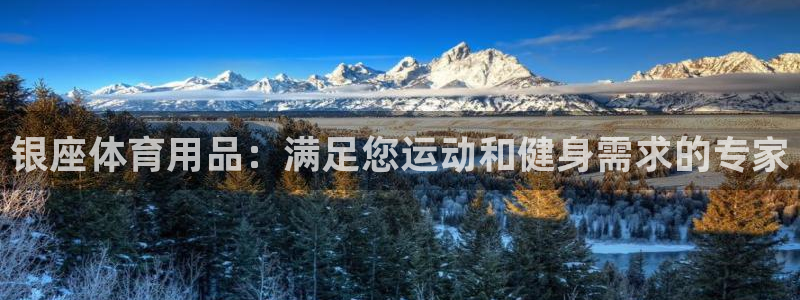 欧陆娱乐挂机怎么玩的：银座体育用品：满足您运动和健身