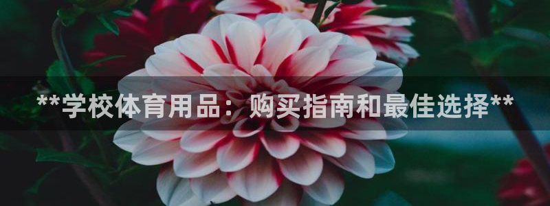 欧陆娱乐登陆官网下载：**学校体育用品：购买指南和最
