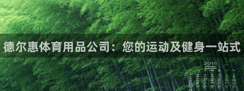 欧陆娱乐平台咋样赚钱的：德尔惠体育用品公司：您的运动