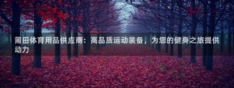 欧陆娱乐登陆官网入口：莆田体育用品供应商：高品质运动