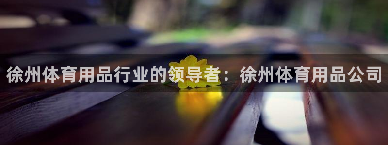 欧陆娱乐官网注册中心下载：徐州体育用品行业的领导者：