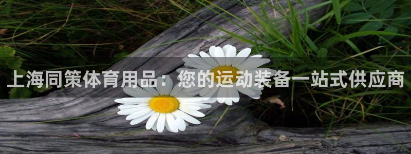 欧陆娱乐是正规平台吗安全吗可靠吗知乎：上海同策体育用
