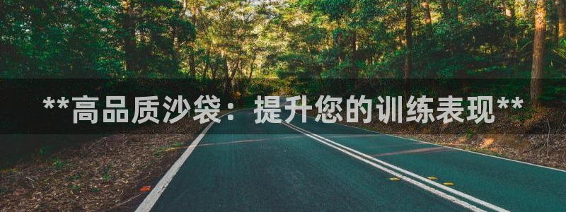 欧陆娱乐分分彩：**高品质沙袋：提升您的训练表现**