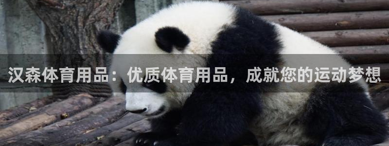 欧陆娱乐出款：汉森体育用品：优质体育用品，成就您的运