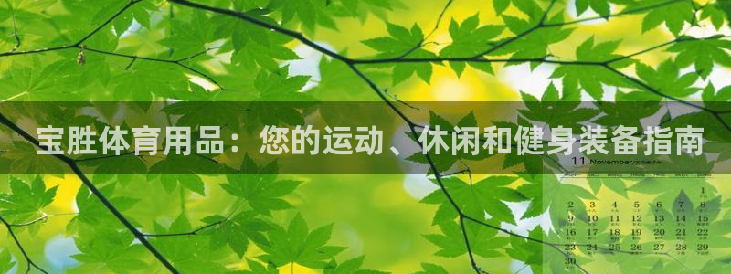 欧陆娱乐怎么注册帐号登录： 宝胜体育用品：您的运动、