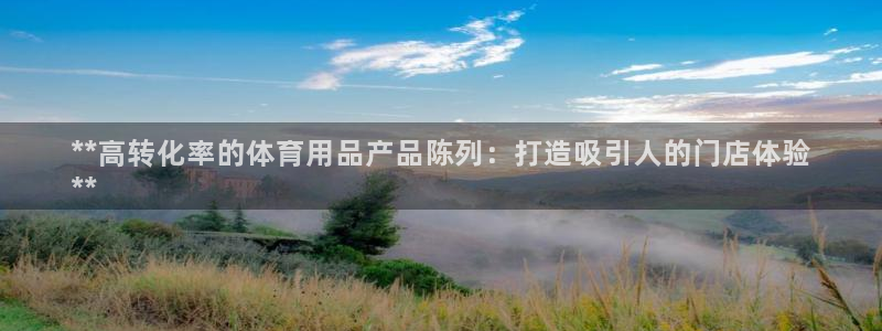 欧陆娱乐官网入口下载：**高转化率的体育用品产品陈列