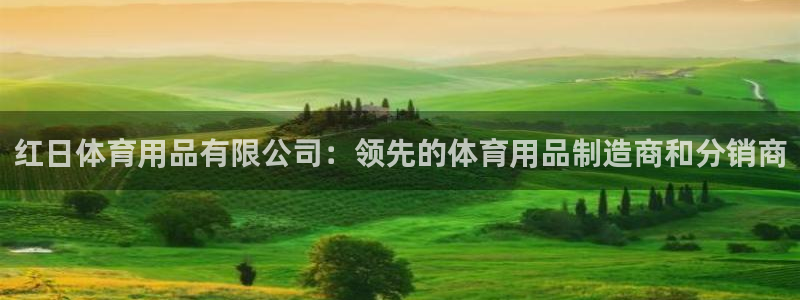 欧陆娱乐公司产品介绍图片：红日体育用品有限公司：领先