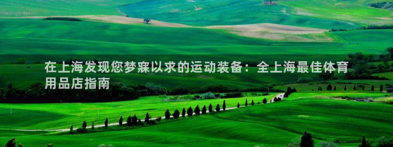 欧陆娱乐登陆平台有哪些：在上海发现您梦寐以求的运动装