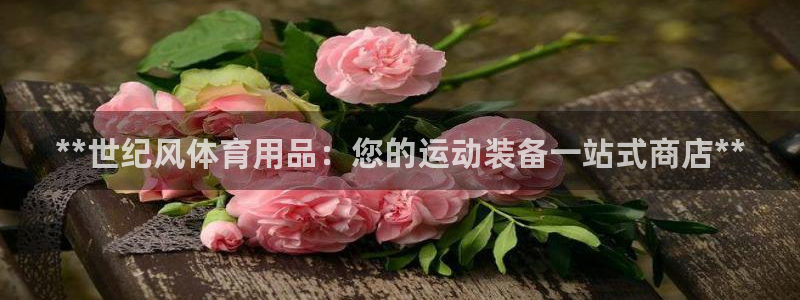 欧陆娱乐公司产品介绍图片：**世纪风体育用品：您的运