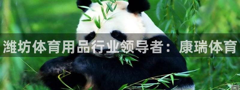 欧陆娱乐怎么注册会员的：潍坊体育用品行业领导者：康瑞