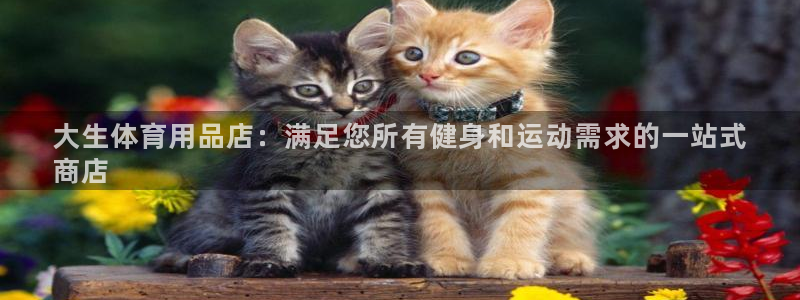 欧陆娱乐怎么注册账号：大生体育用品店：满足您所有健身