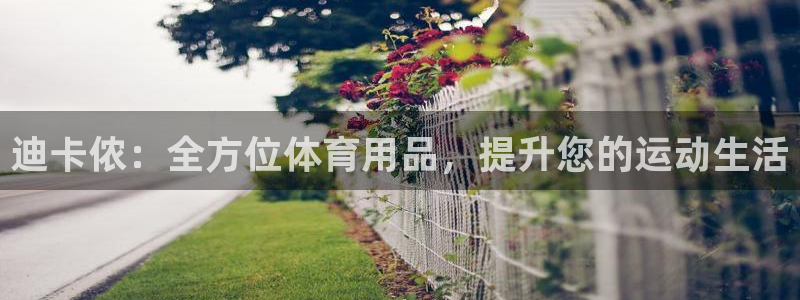 欧陆娱乐是正规平台吗安全吗知乎推荐：迪卡侬：全方位体