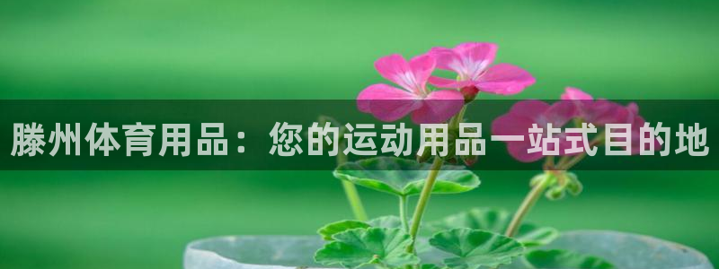 欧陆娱乐怎么注册：滕州体育用品：您的运动用品一站式目