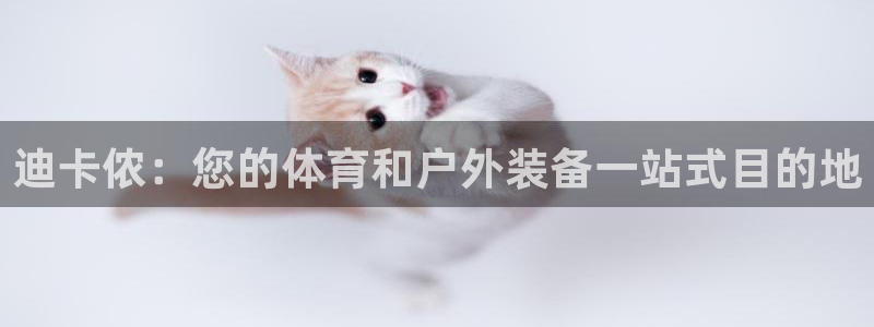 欧陆娱乐官网入口：迪卡侬：您的体育和户外装备一站式目