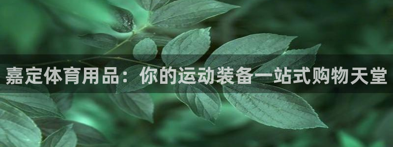 欧陆娱乐登录测速怎么关闭：嘉定体育用品：你的运动装备