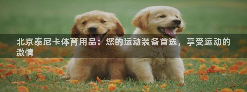 欧陆平台：北京泰尼卡体育用品：您的运动装备首选，享受