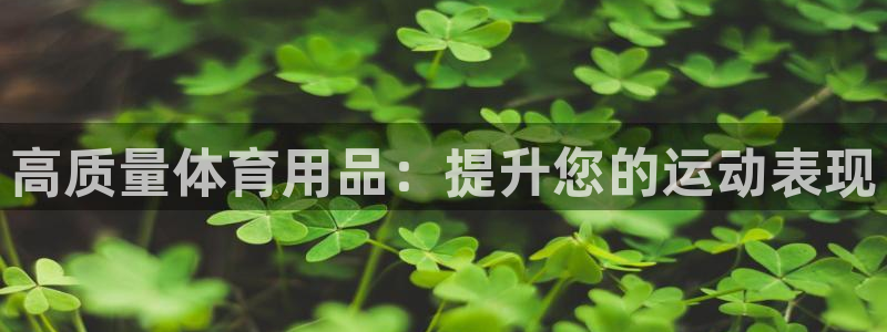 欧陆娱乐平台登陆地址是什么：高质量体育用品：提升您的
