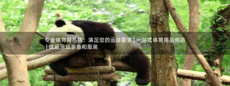 欧陆娱乐平台官网下载：专业体育用品店：满足您的运动需
