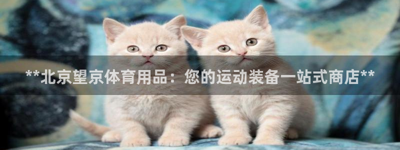 欧陆娱乐招商主管：**北京望京体育用品：您的运动装备