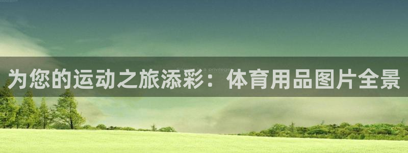 欧陆娱乐平台登录不上去怎么办：为您的运动之旅添彩：体