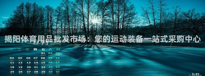 欧陆平台：揭阳体育用品批发市场：您的运动装备一站式采