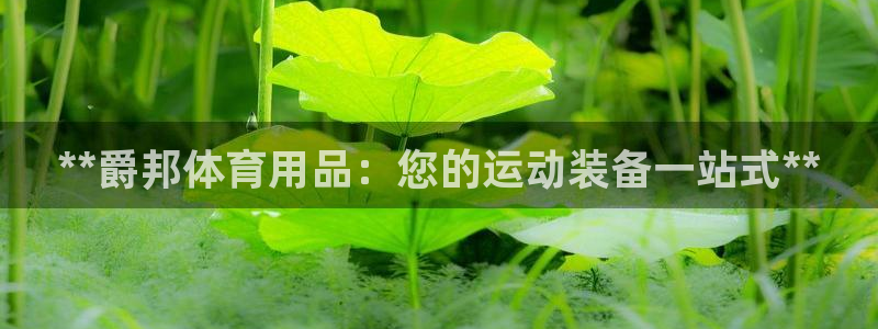欧陆娱乐注册链接怎么弄的：**爵邦体育用品：您的运动