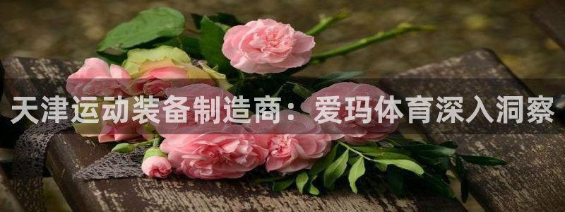 欧陆平台：天津运动装备制造商：爱玛体育深入洞察