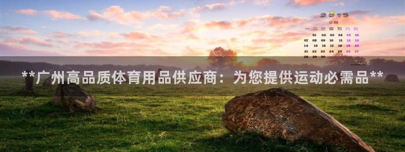 欧陆娱乐共创美好时刻：**广州高品质体育用品供应商：