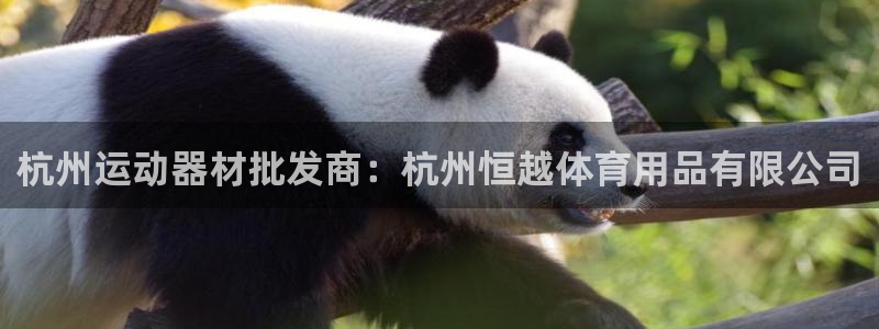 欧陆娱乐官方下载安装：杭州运动器材批发商：杭州恒越体