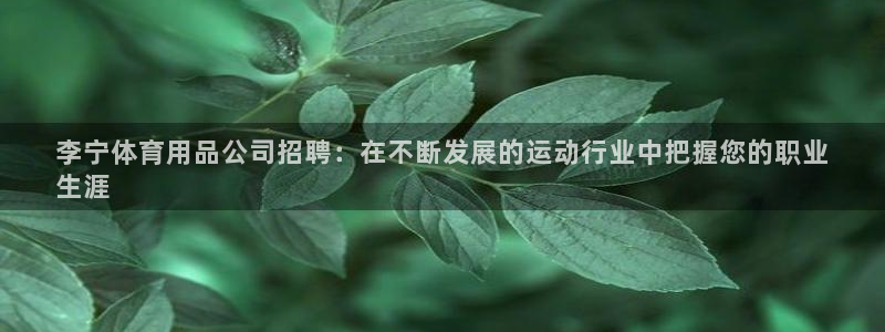 欧陆娱乐挂机项目：李宁体育用品公司招聘：在不断发展的
