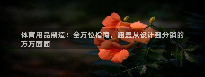 欧陆娱乐挂机项目有哪些：体育用品制造：全方位指南，涵