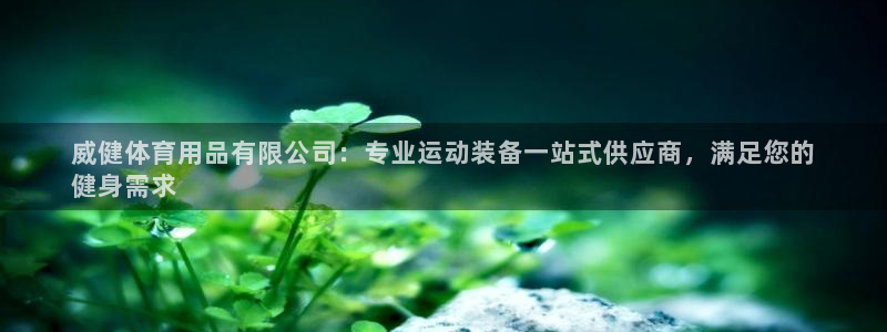 欧陆娱乐能不能玩手游：威健体育用品有限公司：专业运动装备一站