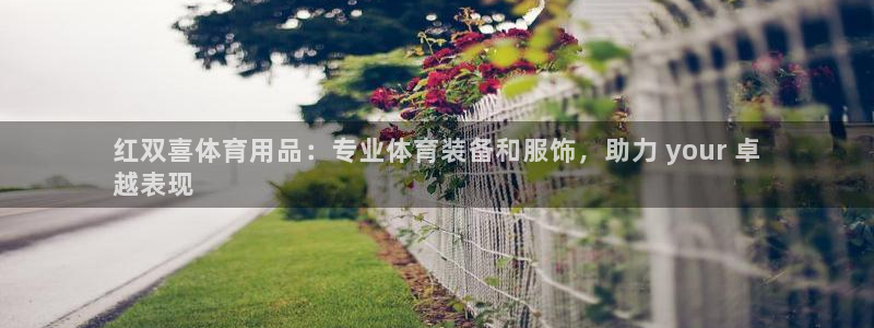 欧陆娱乐官方网站下载：红双喜体育用品：专业体育装备和