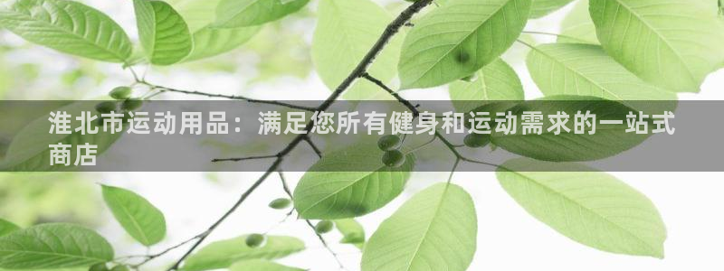 欧陆娱乐app攻略：淮北市运动用品：满足您所有健身和