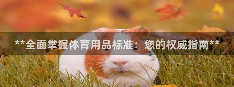 欧陆娱乐微信众：**全面掌握体育用品标准：您的权威指