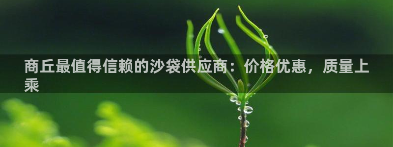 欧陆娱乐官方网站首页：商丘最值得信赖的沙袋供应商：价