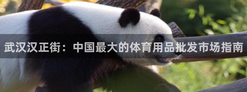 欧陆娱乐官网下载安装最新版苹果：武汉汉正街：中国最大
