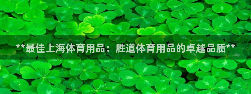 欧陆娱乐系统教程：**最佳上海体育用品：胜道体育用品