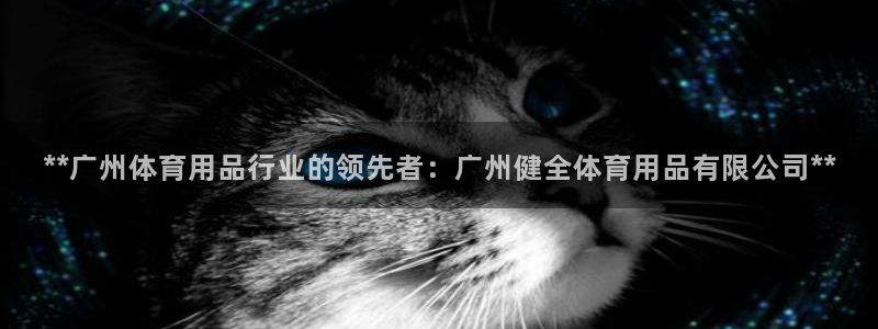 欧陆娱乐出款了吗：**广州体育用品行业的领先者：广州
