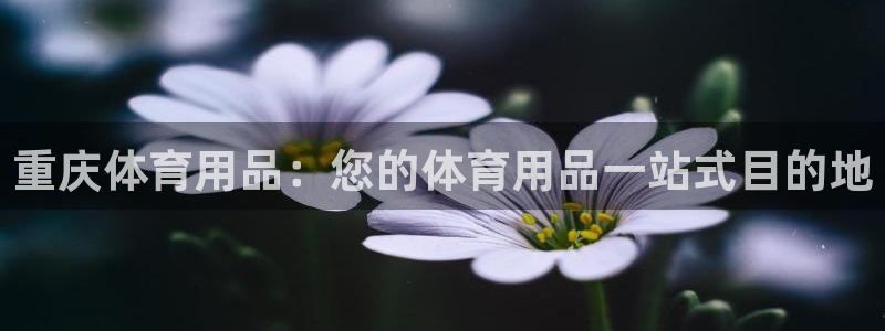 欧陆娱乐平台官网：重庆体育用品：您的体育用品一站式目