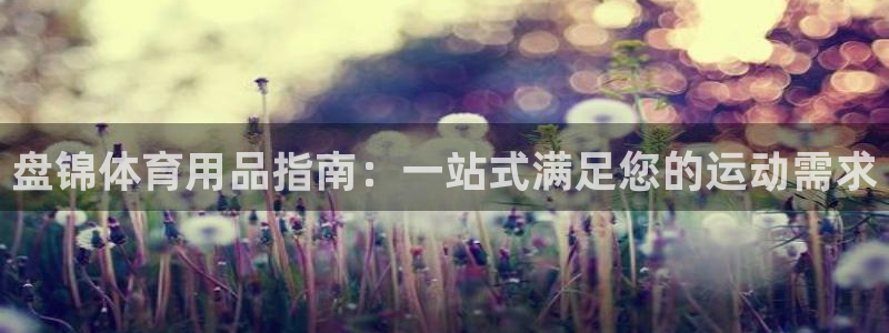 欧陆娱乐合法吗?：盘锦体育用品指南：一站式满足您的运