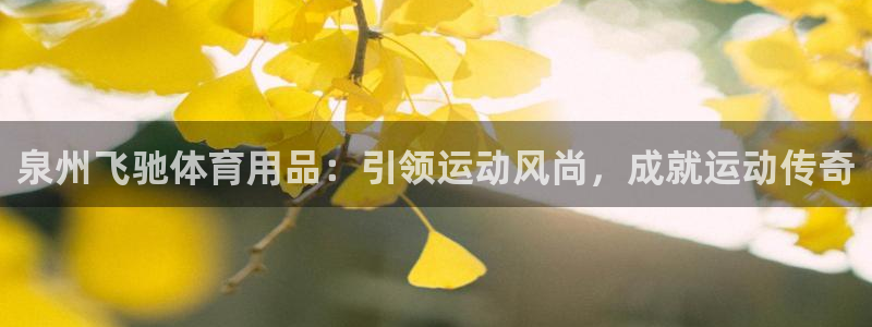 欧陆娱乐公司产品介绍图片：泉州飞驰体育用品：引领运动